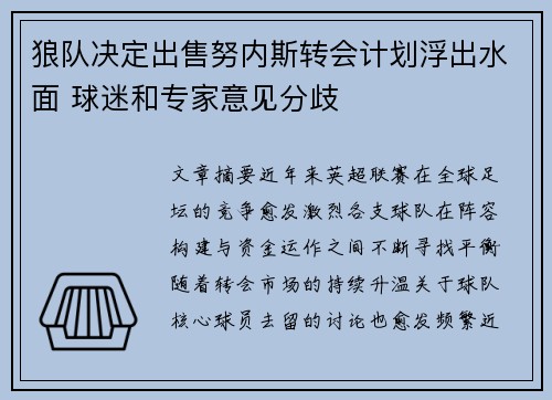 狼队决定出售努内斯转会计划浮出水面 球迷和专家意见分歧